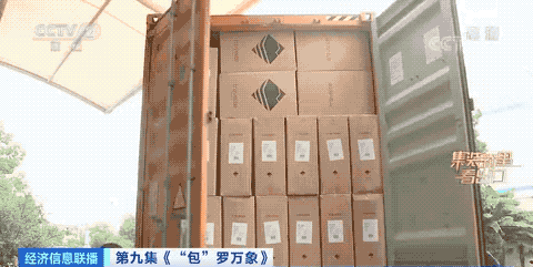 1665455416113130.gif 7.gif