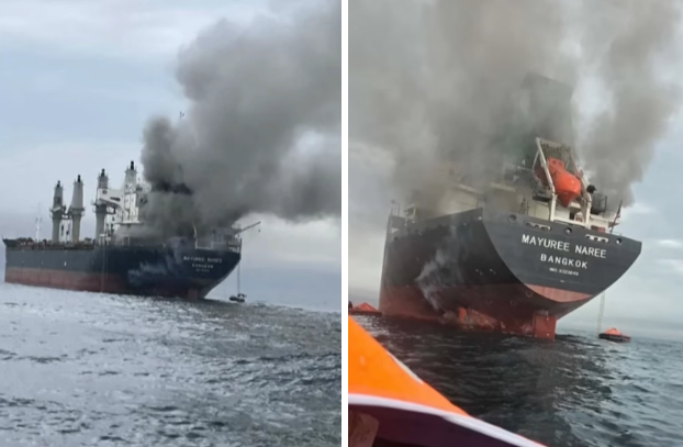 1773286591198193.png image.png